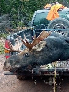 moose-hunting-guides-NB