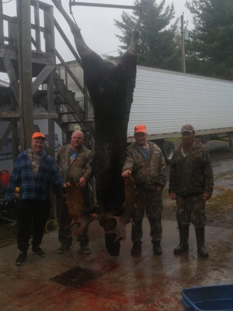 Moose Hunt A1 Black Bear Hunting